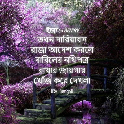 Picture 04 - ইজ্ৰা 6:1 BENIRV - তখন দারিয়াবস - Bible Verse Picture