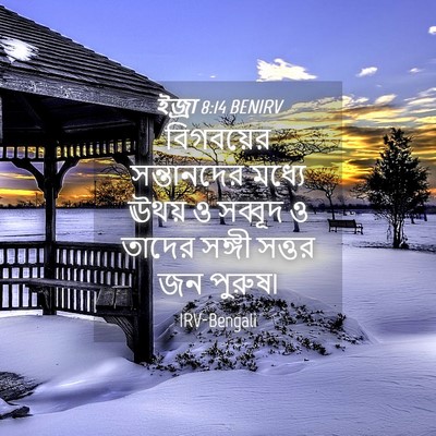Picture 04 - ইজ্ৰা 8:14 BENIRV - বিগবয়ের - Bible Verse Picture