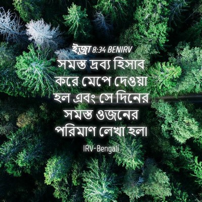 Picture 04 - ইজ্ৰা 8:34 BENIRV - সমস্ত দ্রব্য - Bible Verse Picture