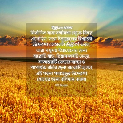 Picture 04 - ইজ্ৰা 8:35 BENIRV - নির্বাসিত যারা - Bible Verse Picture