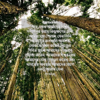 Picture 04 - ইজ্ৰা 9:8 BENIRV - আর এখন আমাদের - Bible Verse Picture
