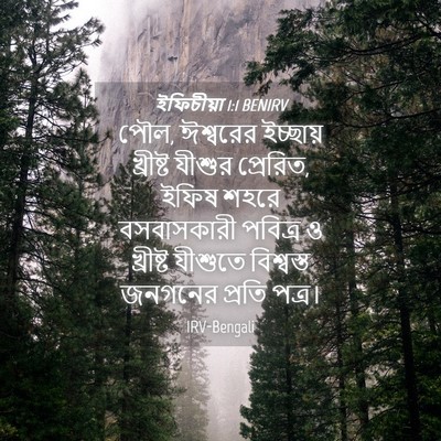 Picture 04 - ইফিচীয়া 1:1 BENIRV - পৌল, ঈশ্বরের - Bible Verse Picture
