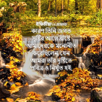 Picture 04 - ইফিচীয়া 1:4 BENIRV - কারণ তিনি জগত - Bible Verse Picture