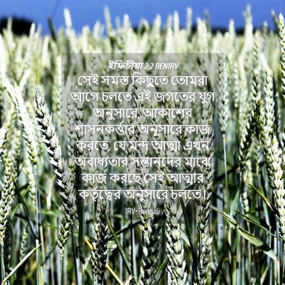 Picture 04 - ইফিচীয়া 2:2 BENIRV - সেই সমস্ত কিছুতে - Bible Verse Picture
