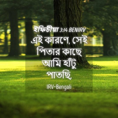 Picture 04 - ইফিচীয়া 3:14 BENIRV - এই কারণে, সেই পিতার - Bible Verse Picture