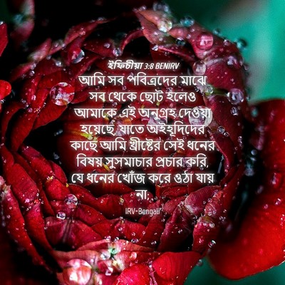 Picture 04 - ইফিচীয়া 3:8 BENIRV - আমি সব পবিত্রদের - Bible Verse Picture