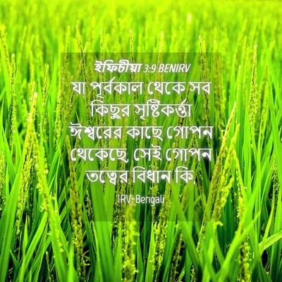 Picture 04 - ইফিচীয়া 3:9 BENIRV - যা পূর্বকাল থেকে - Bible Verse Picture