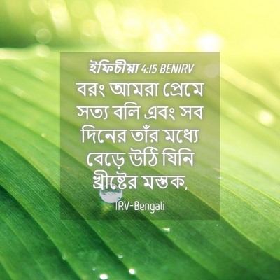 Picture 04 - ইফিচীয়া 4:15 BENIRV - বরং আমরা প্রেমে - Bible Verse Picture