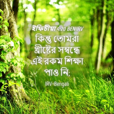 Picture 04 - ইফিচীয়া 4:20 BENIRV - কিন্তু তোমরা - Bible Verse Picture