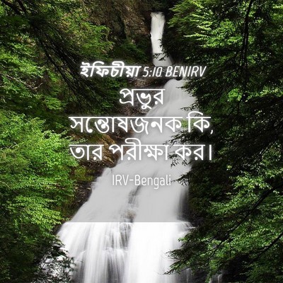 Picture 04 - ইফিচীয়া 5:10 BENIRV - প্রভুর সন্তোষজনক - Bible Verse Picture