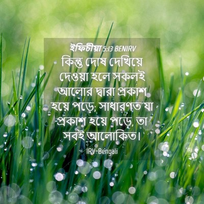 Picture 04 - ইফিচীয়া 5:13 BENIRV - কিন্তু দোষ - Bible Verse Picture