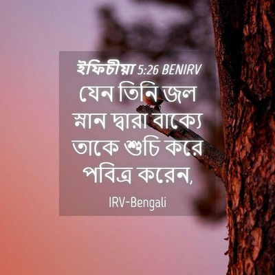 Picture 04 - ইফিচীয়া 5:26 BENIRV - যেন তিনি জল স্নান - Bible Verse Picture