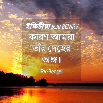 Picture 04 - ইফিচীয়া 5:30 BENIRV - কারণ আমরা তাঁর - Bible Verse Picture