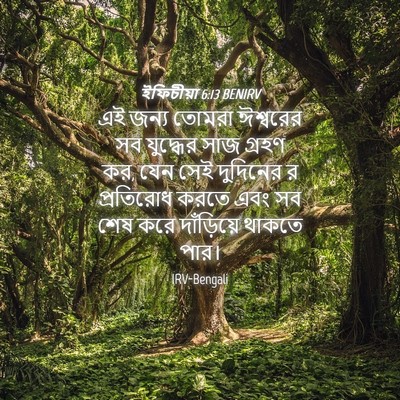 Picture 04 - ইফিচীয়া 6:13 BENIRV - এই জন্য তোমরা - Bible Verse Picture