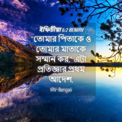 Picture 04 - ইফিচীয়া 6:2 BENIRV - “তোমার পিতাকে ও - Bible Verse Picture