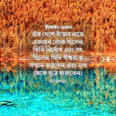 Picture 04 - ইয়োব 1:1 BENIRV - ঊষ দেশে ইয়োব নামে - Bible Verse Picture