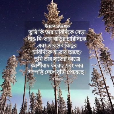 Picture 04 - ইয়োব 1:10 BENIRV - তুমি কি তার - Bible Verse Picture
