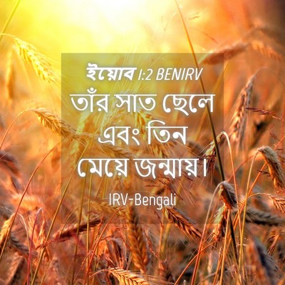 Picture 04 - ইয়োব 1:2 BENIRV - তাঁর সাত ছেলে এবং - Bible Verse Picture