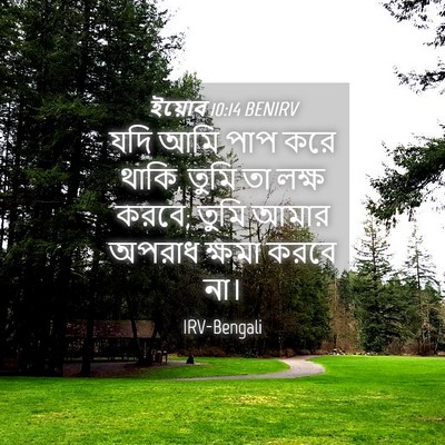 Picture 04 - ইয়োব 10:14 BENIRV - যদি আমি পাপ করে - Bible Verse Picture