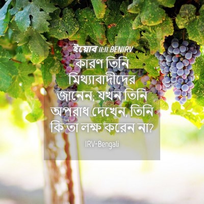 Picture 04 - ইয়োব 11:11 BENIRV - কারণ তিনি - Bible Verse Picture
