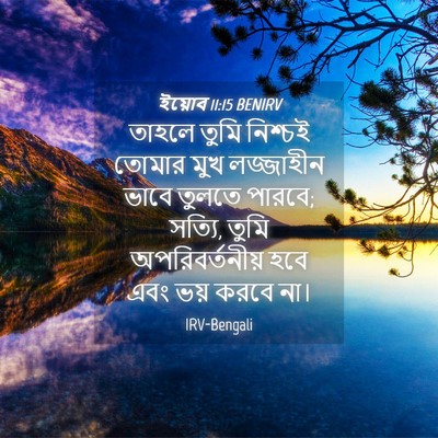 Picture 04 - ইয়োব 11:15 BENIRV - তাহলে তুমি নিশ্চই - Bible Verse Picture