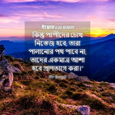 Picture 04 - ইয়োব 11:20 BENIRV - কিন্তু পাপীদের - Bible Verse Picture