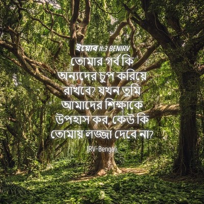 Picture 04 - ইয়োব 11:3 BENIRV - তোমার গর্ব কি - Bible Verse Picture