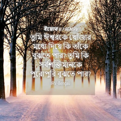 Picture 04 - ইয়োব 11:7 BENIRV - তুমি ঈশ্বরকে - Bible Verse Picture
