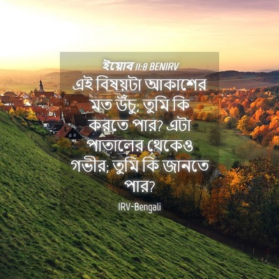Picture 04 - ইয়োব 11:8 BENIRV - এই বিষয়টা আকাশের - Bible Verse Picture