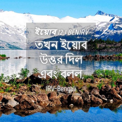 Picture 04 - ইয়োব 12:1 BENIRV - তখন ইয়োব উত্তর - Bible Verse Picture