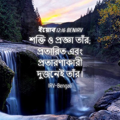 Picture 04 - ইয়োব 12:16 BENIRV - শক্তি ও প্রজ্ঞা - Bible Verse Picture