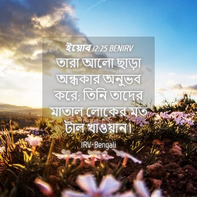 Picture 04 - ইয়োব 12:25 BENIRV - তারা আলো ছাড়া - Bible Verse Picture
