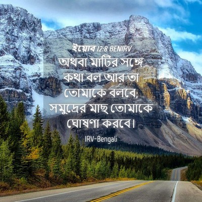 Picture 04 - ইয়োব 12:8 BENIRV - অথবা মাটির সঙ্গে - Bible Verse Picture