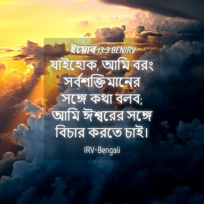 Picture 04 - ইয়োব 13:3 BENIRV - যাইহোক, আমি বরং - Bible Verse Picture