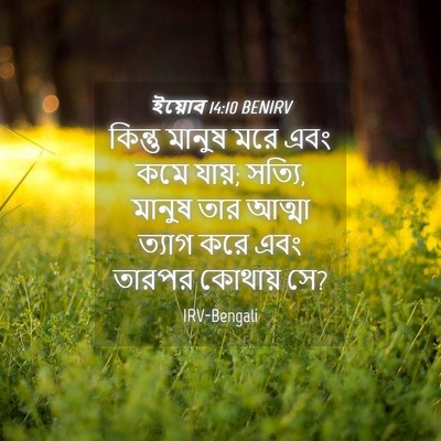 Picture 04 - ইয়োব 14:10 BENIRV - কিন্তু মানুষ মরে - Bible Verse Picture
