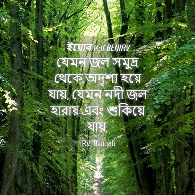 Picture 04 - ইয়োব 14:11 BENIRV - যেমন জল সমুদ্র - Bible Verse Picture