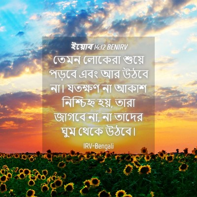 Picture 04 - ইয়োব 14:12 BENIRV - তেমন লোকেরা শুয়ে - Bible Verse Picture