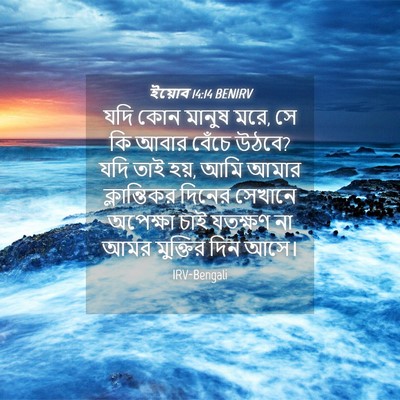 Picture 04 - ইয়োব 14:14 BENIRV - যদি কোন মানুষ মরে, - Bible Verse Picture