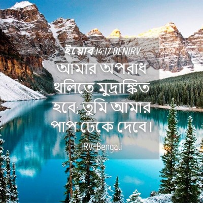 Picture 04 - ইয়োব 14:17 BENIRV - আমার অপরাধ থলিতে - Bible Verse Picture