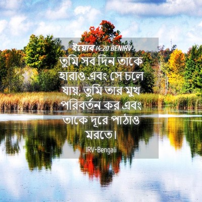 Picture 04 - ইয়োব 14:20 BENIRV - তুমি সব দিন তাকে - Bible Verse Picture
