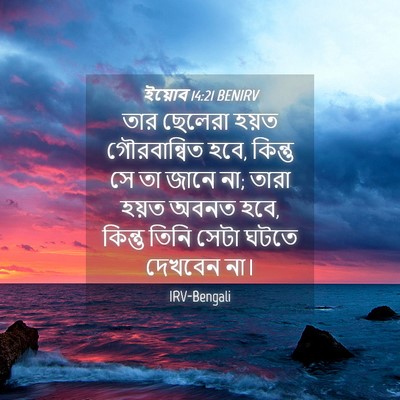 Picture 04 - ইয়োব 14:21 BENIRV - তার ছেলেরা হয়ত - Bible Verse Picture