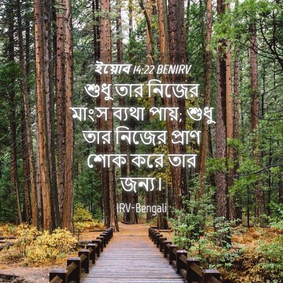Picture 04 - ইয়োব 14:22 BENIRV - শুধু তার নিজের - Bible Verse Picture