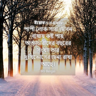 Picture 04 - ইয়োব 15:20 BENIRV - পাপী লোক সারা জীবন - Bible Verse Picture