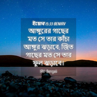 Picture 04 - ইয়োব 15:33 BENIRV - আঙ্গুরের গাছের মত - Bible Verse Picture