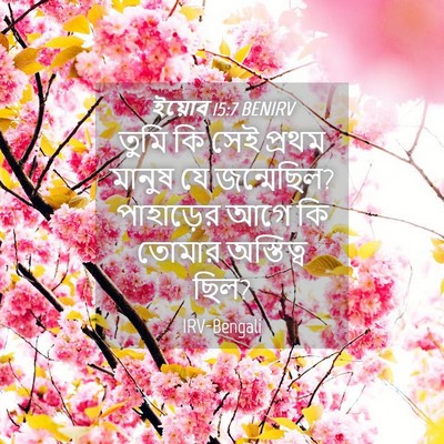 Picture 04 - ইয়োব 15:7 BENIRV - তুমি কি সেই প্রথম - Bible Verse Picture