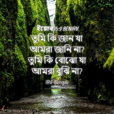 Picture 04 - ইয়োব 15:9 BENIRV - তুমি কি জান যা আমরা - Bible Verse Picture