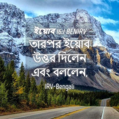 Picture 04 - ইয়োব 16:1 BENIRV - তারপর ইয়োব উত্তর - Bible Verse Picture