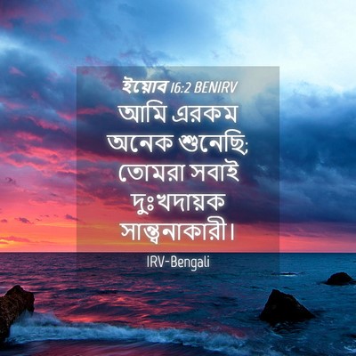 Picture 04 - ইয়োব 16:2 BENIRV - আমি এরকম অনেক - Bible Verse Picture
