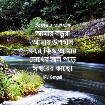 Picture 04 - ইয়োব 16:20 BENIRV - আমার বন্ধুরা - Bible Verse Picture