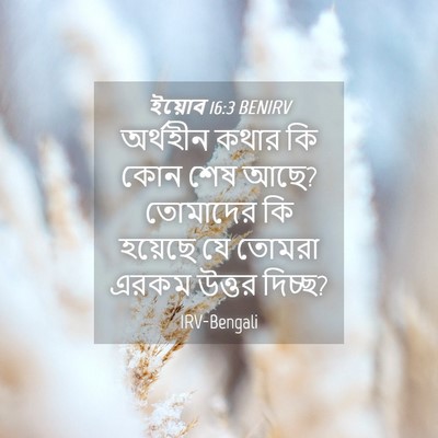 Picture 04 - ইয়োব 16:3 BENIRV - অর্থহীন কথার কি - Bible Verse Picture